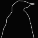 pg-31-penguins-1-rex The Obscure Penguin